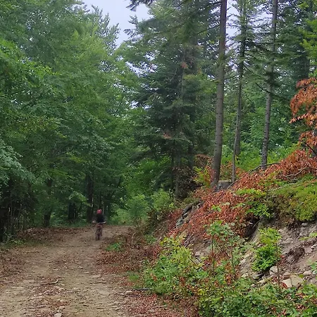 Apartament Beskidlove Wegierska Gorka