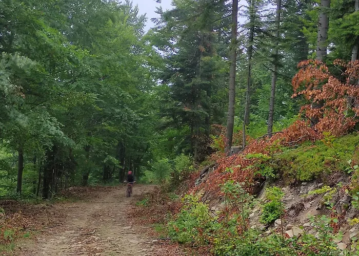 דירה Beskidlove וגיירסקה גורקה