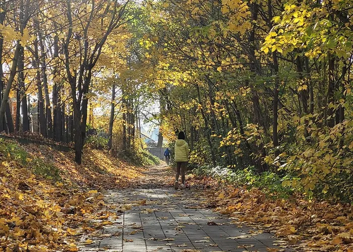 דירה Beskidlove *